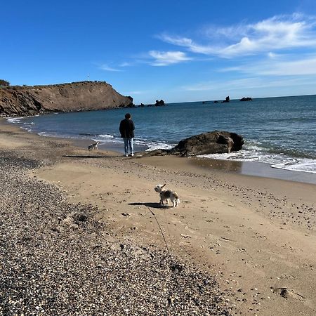 34300 Le Cap D'Agde Apartman Kültér fotó